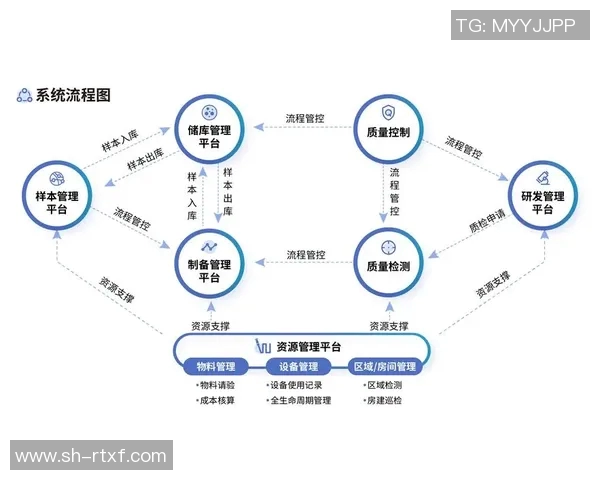 南京羽毛球队区域防守革新之路探索与实践分析 南京羽毛球队区域防守革新之路探索与实践分析