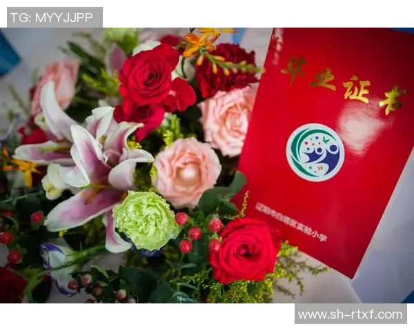 对话杨娜：回顾我的网球生涯与成长之路的点滴分享