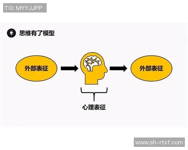 数据分析揭示北京攀岩队团队协作表现的关键因素与提升策略 数据分析揭示北京攀岩队团队协作表现的关键因素与提升策略