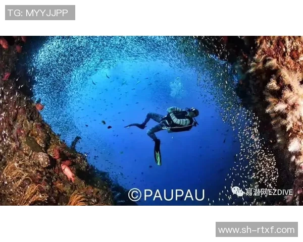 极限运动的成功秘诀周芳分享她的心路历程与经验之谈 极限运动的成功秘诀周芳分享她的心路历程与经验之谈