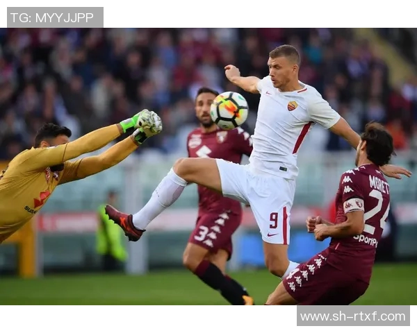 西安排球队灵活性引发热议球迷与专家各执己见探讨战术选择