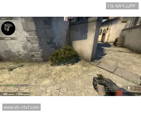 FPX在CSGO比赛中的防守策略分析与成效评估