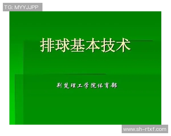 上海排球队技术分析与发展探讨聚焦排球运动的未来与挑战