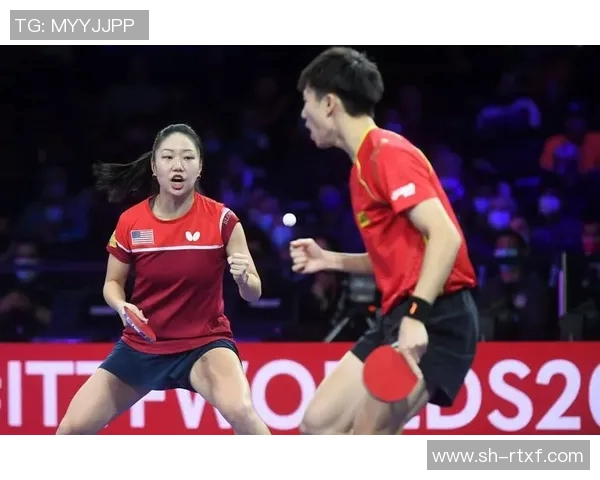 成都乒乓球队战术解析与训练策略探讨聚焦乒乓球竞技新高度