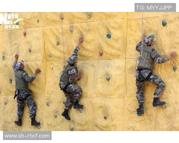 攀岩新手必看灵活性训练技巧与入门指南助你轻松上手