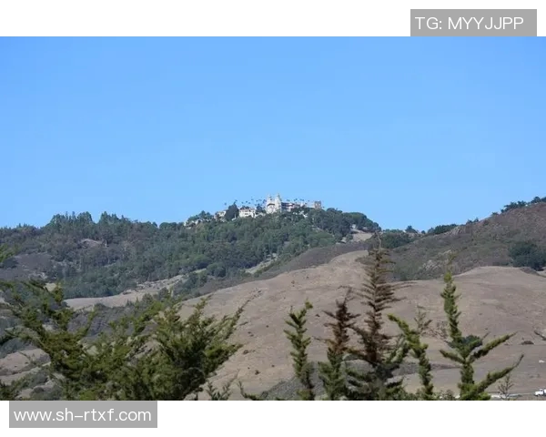 波特兰与西雅图的激烈对决：一场足球盛宴的精彩回顾与分析