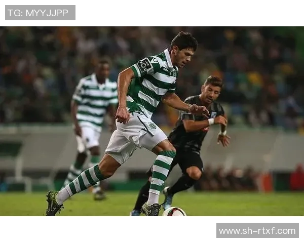 费雷拉与马里迪莫对决前瞻分析及比赛结果预测