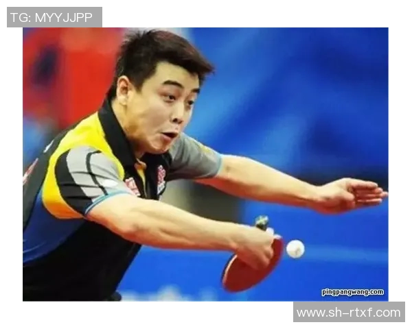 王皓与水谷隼巅峰对决乒乓球赛场上的荣耀与激情碰撞 王皓与水谷隼巅峰对决乒乓球赛场上的荣耀与激情碰撞