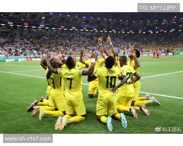 荷兰与塞内加尔精彩对决回放全程回顾与赛后分析