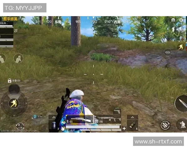 从零开始掌握和平精英战术全解析助你成为游戏高手MBA