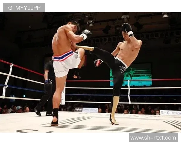 萨利多与马丁内兹激战在即谁将成为拳坛新王者