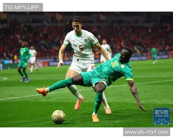 塞内加尔与韩国角球对决分析及比赛精彩瞬间回顾