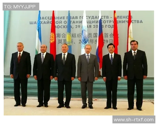 尼日利亚与俄罗斯的经济合作与文化交流新机遇探讨