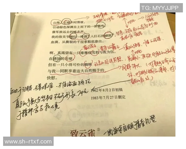 张帆的奋斗历程与成长故事：从平凡到卓越的启示与反思