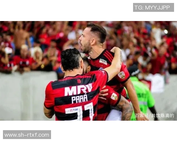 戈亚斯对阵弗拉门戈精彩直播全程回顾与赛后分析